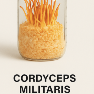 Cordyceps Militaris Grow Kit – Pre-Colonized Fruiting Jar