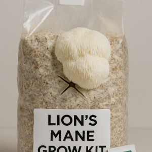 Lion’s Mane Grow Kit – Fruiting Bag